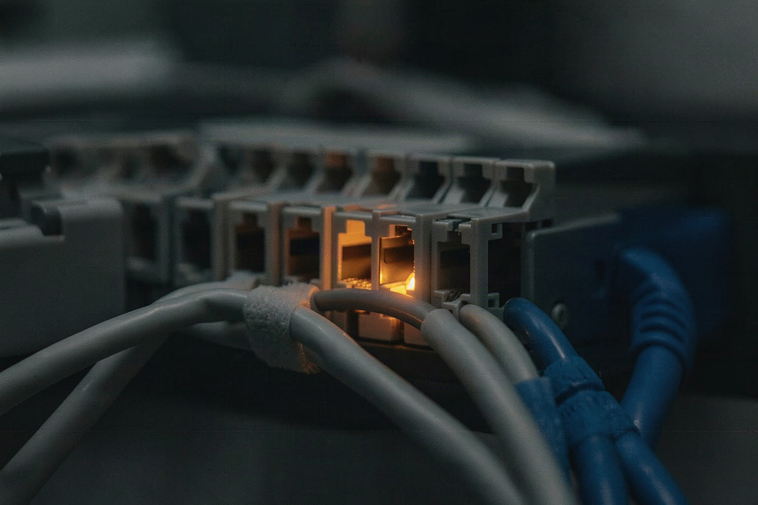 Nahaufnahme eines Patchfelds mit ordentlich gebündelten Netzwerkkabeln